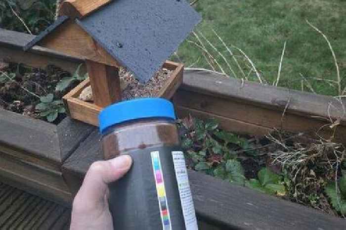 Gardeners told to 'sprinkle coffee on bird tables' will keep pests away for one key reason