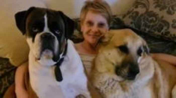 Dog owner 'heartbroken' after cremation mix-up