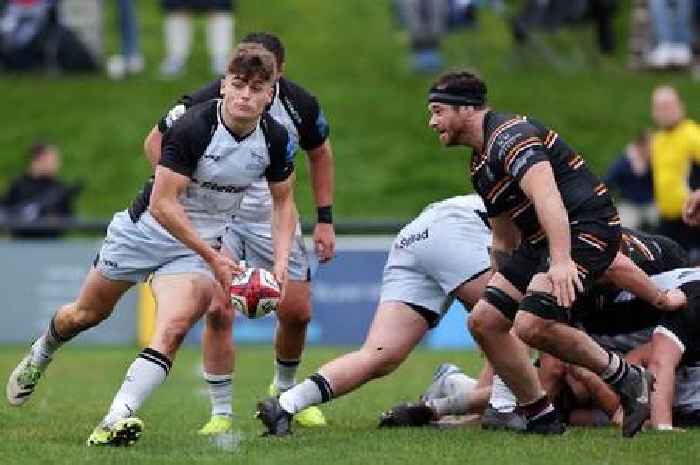 Bristol Bears hand Steve Diamond a bitter pill as they sign Newcastle Falcons rising star