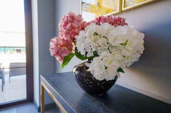 Genius hack to revive wilting hydrangeas in minutes