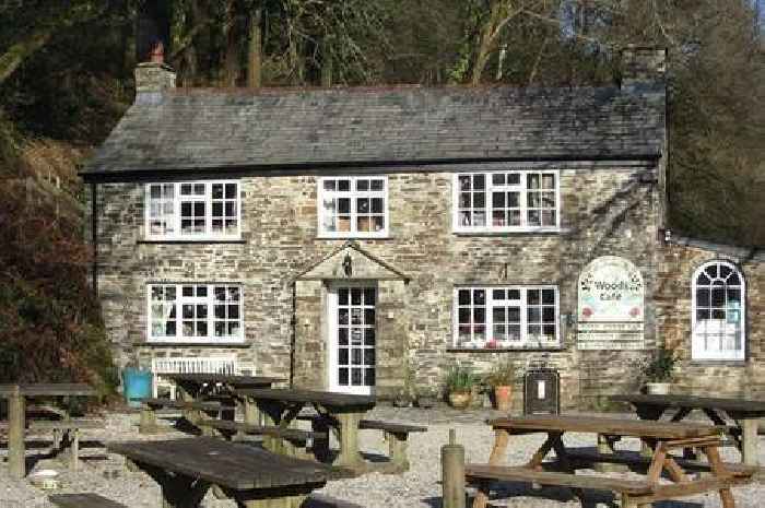 Popular cafe in Cornwall woodland defends decision to go cashless