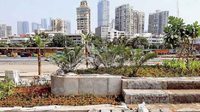 No takers to beautify the Mumbai Coastal Road green spaces