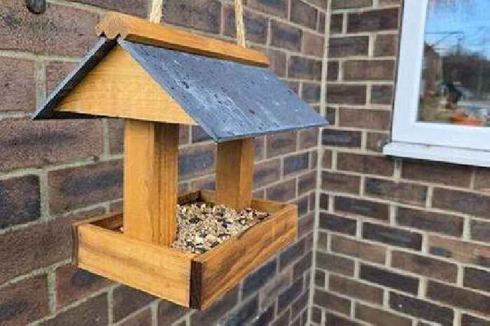 I bought a bird table and instantly regretted it - and you might have made the same error