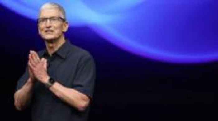 Apple boss says its DEI programmes may change