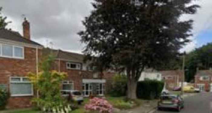 Man fined for cutting down tree worth £114,000