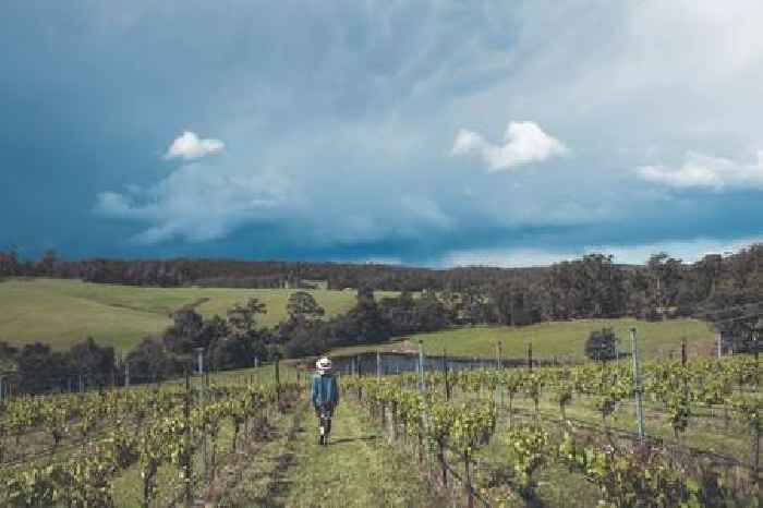 Why Tasmania is Australia’s overlooked wine destination