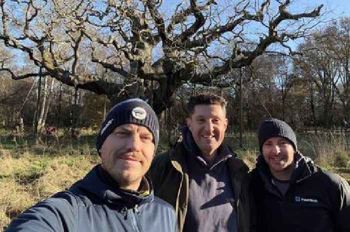 Experts monitoring health of ancient Major Oak tree with Robin Hood connections