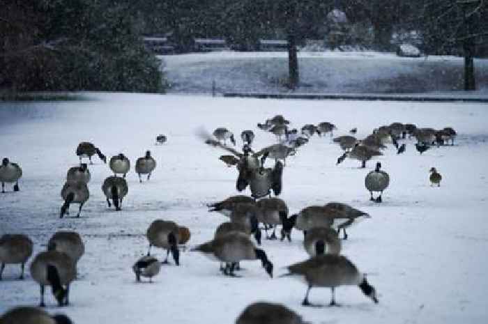 UK faces 3cm per hour snow and torrential rain storm today with 'one' region spared