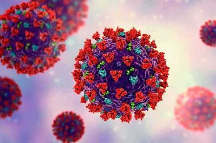 'Highly contagious virus outbreak' alert for 57 countries after surge in cases