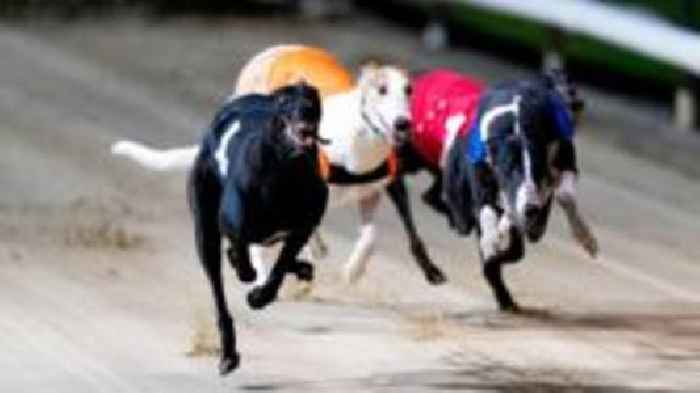 'No plans' for UK greyhound racing ban beyond Wales