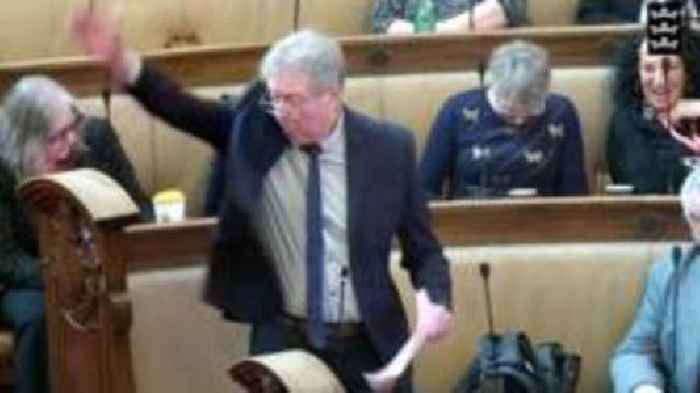 Labour councillor sorry for 'Nazi' salute