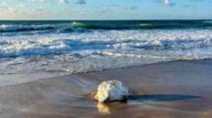 'Significant amount' of palm oil found on beach