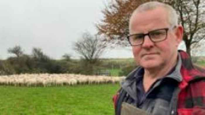 'I've lost 4,500 sheep to thieves on Dartmoor'