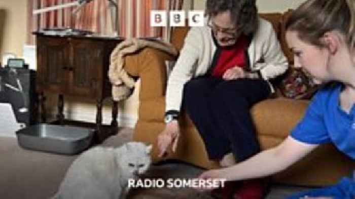 Charity pairs homeless cats with older, lonely people