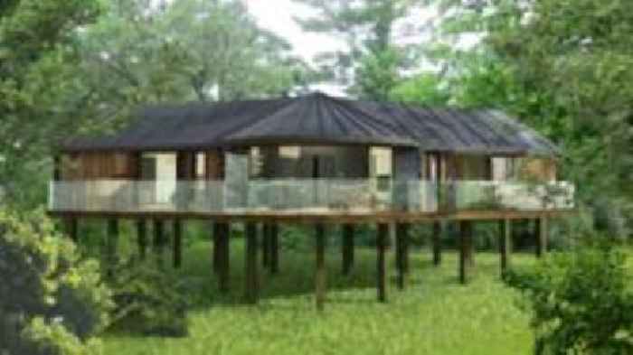 Hotel allowed to keep illegally built treehouses