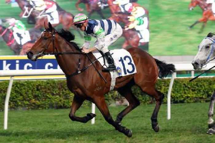 Lui’s Angel can Pack a punch in the Hong Kong Classic Cup