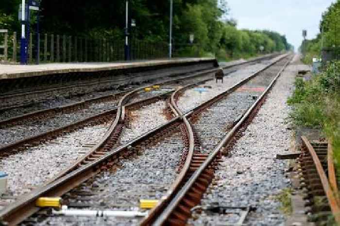 Bid launched to re-link Leicester and Northampton by rail