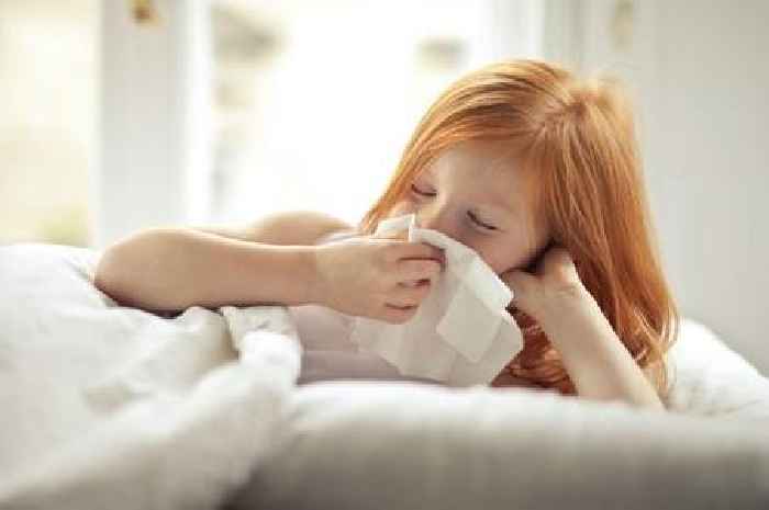 UKHSA 'Severe symptoms' and 'stay home' warning amid 'second norovirus wave'