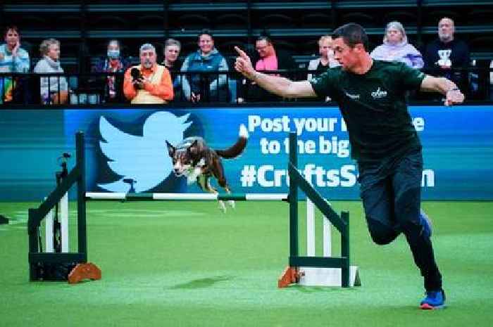 Get your dog 'Crufts ready' with The Range's garden games that are perfect for training your pooch