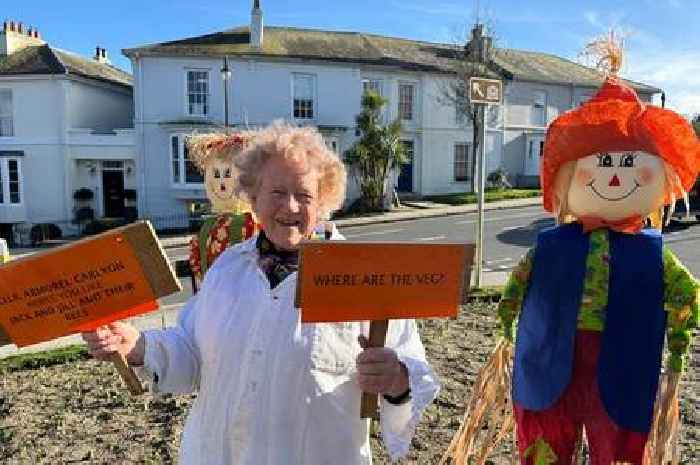 Cornwall's 'guerilla granny' takes the law into her own hands to cheer people up