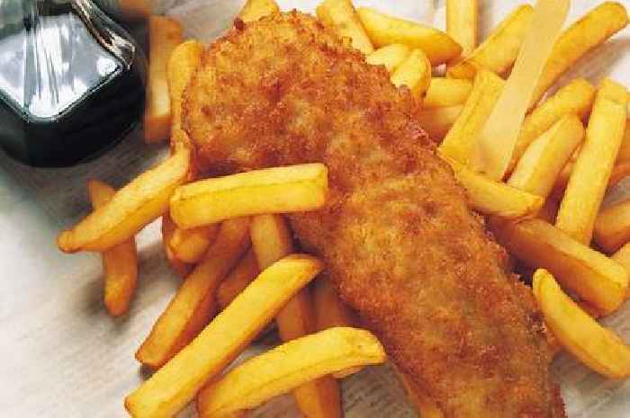 Truro fish and chip shop is officially one of the best in the UK