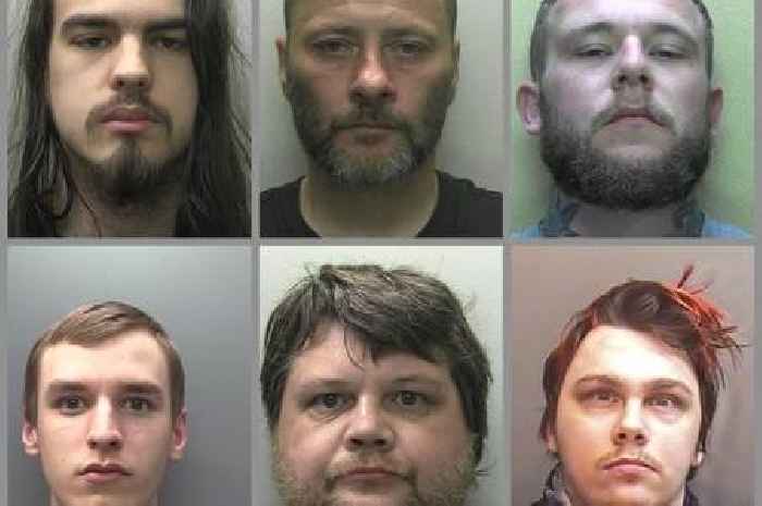 Woman beater and animal abuser among criminals jailed in February
