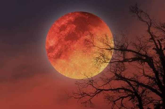 Rare 'Blood Moon' heading to UK - exact time you can see it