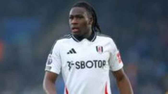 Fulham condemn 'abhorrent' Bassey abuse