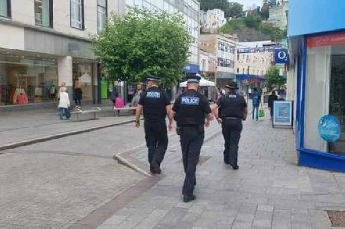 Bleak 'last nail in the coffin' Devon high streets warning