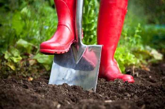 Simple five-minute task that will get your garden ready for spring, expert says