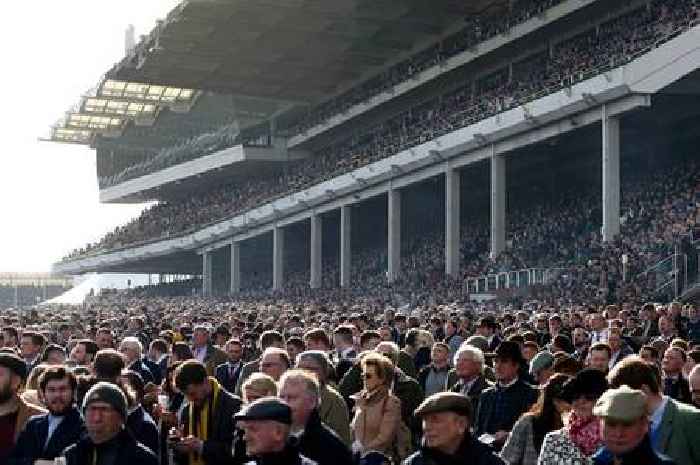 Astronomical Cheltenham Festival accommodation prices revealed as punters pay a staggering 200 per cent more for digs