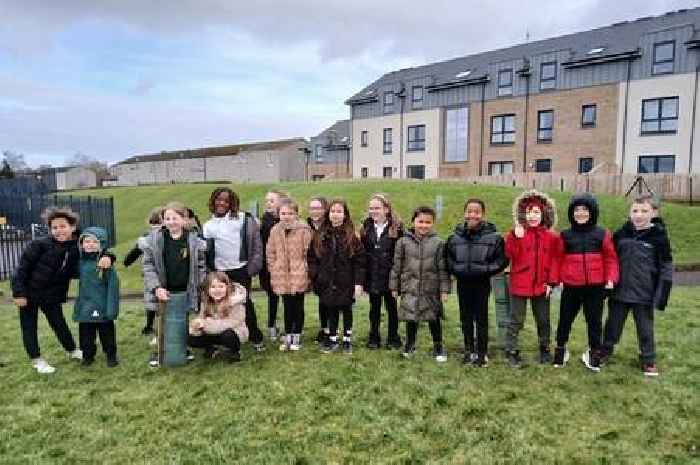 Livingston school plant new tress to replace those lost to Ash Dieback Disease