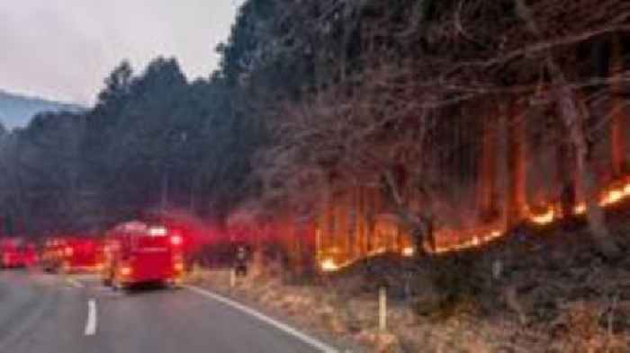 Thousands evacuated as Japan's biggest fire in decades continues to burn