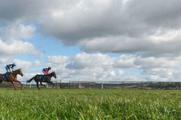 Cheltenham Festival 2025 measures announced including 'war on wee'