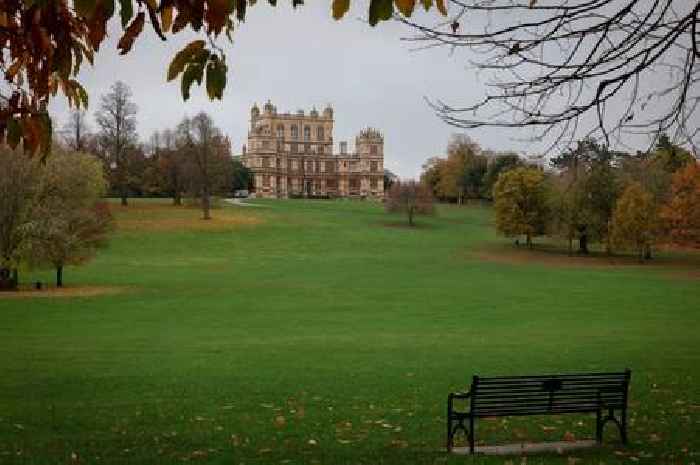 Wollaton Park assures of 'no foul play' as woman finds dead deer in undergrowth