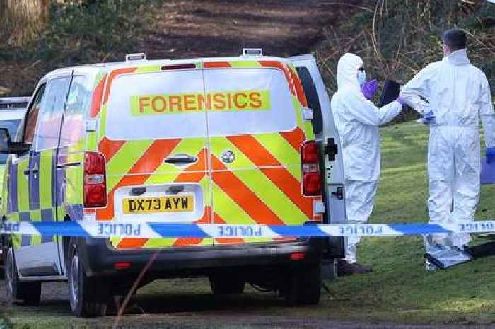 Police call in botanist and archaeologist in Festival Park human remains probe