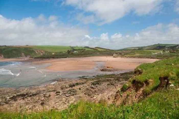 Devon dad dies after falling from cliff while walking dog