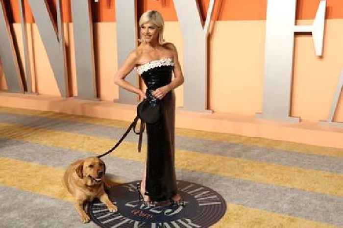 MS signs and symptoms explained as Selma Blair’s service dog steals show at the Oscars