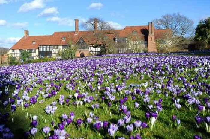Exact date Surrey to be hotter than Madrid with highs of 16C on the way