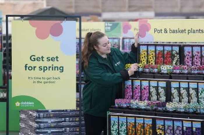 Garden centre workshops helping residents in West Lothian plant a seed in spring celebration