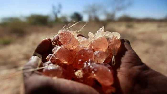 How a key ingredient in Coca-Cola, M&M's is smuggled from war-torn Sudan