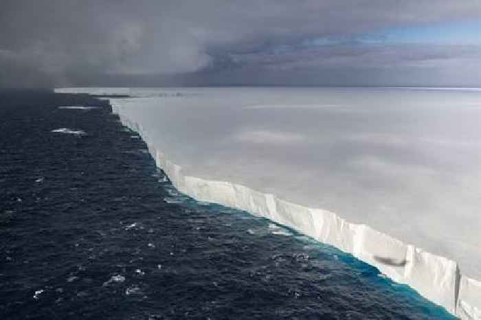 News24 | World's biggest iceberg runs aground, sparing wildlife haven island