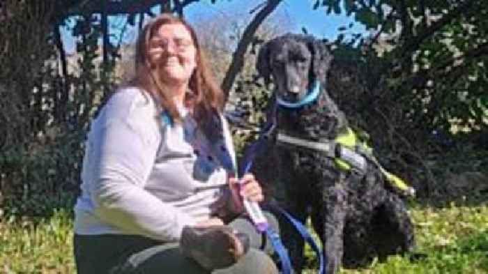 Woman has life saved multiple times by her assistance dog, Wish!