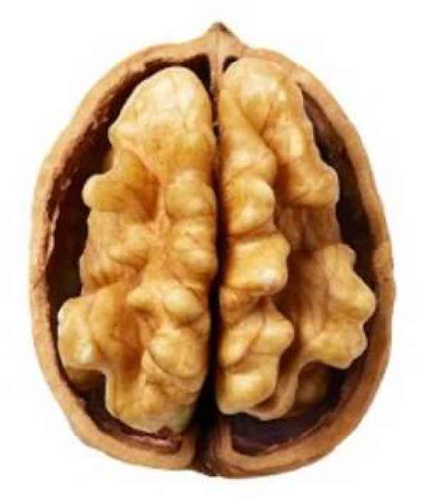Study Shows Walnut-Rich Breakfast May Help to Boost Your Brain Power