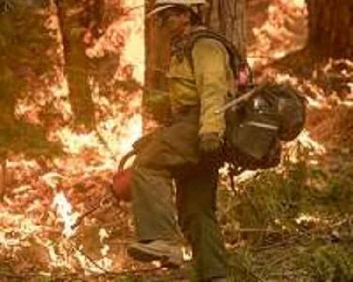 Beyond the burn: Harvesting dead wood to reduce wildfires and store carbon