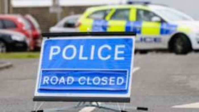 School girl, 11, dies after being hit by car after getting off bus
