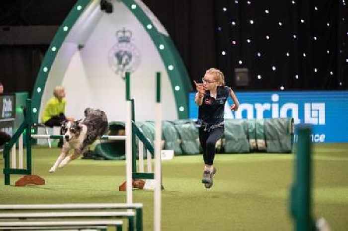 Crufts 2025's 'agility' showpiece – all you need to know about the thrilling TV spectacle