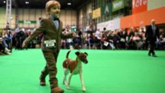 Six-year-old becomes youngest Crufts competitor