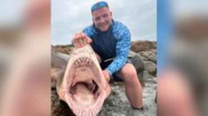 Man bitten by shark on South Africa fishing trip