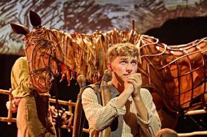 'Spectacular' War Horse back at The Regent - and you don't want to miss it